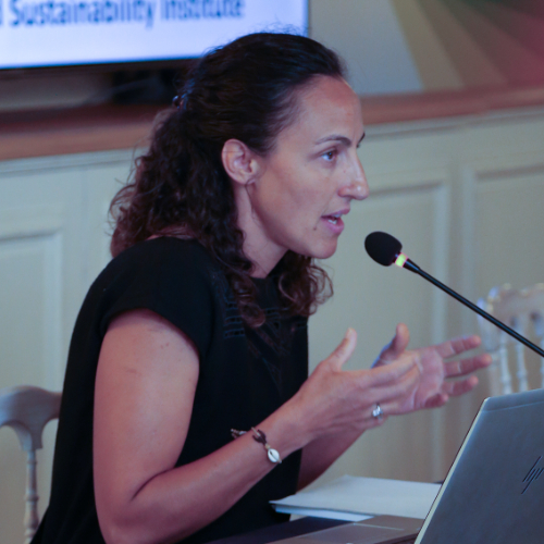 María Helena Guimarães